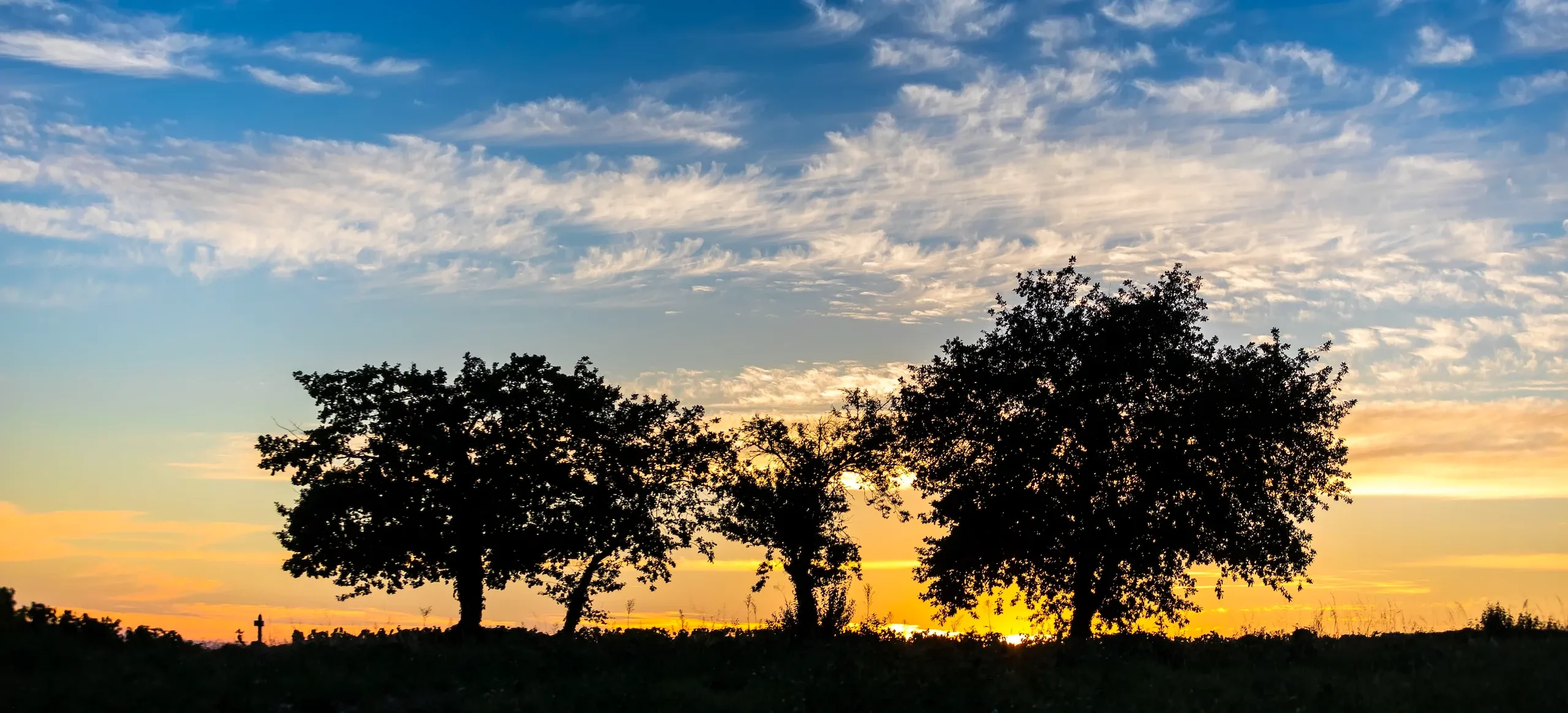 Silhouettes of three trees against a sunset sky with light clouds.