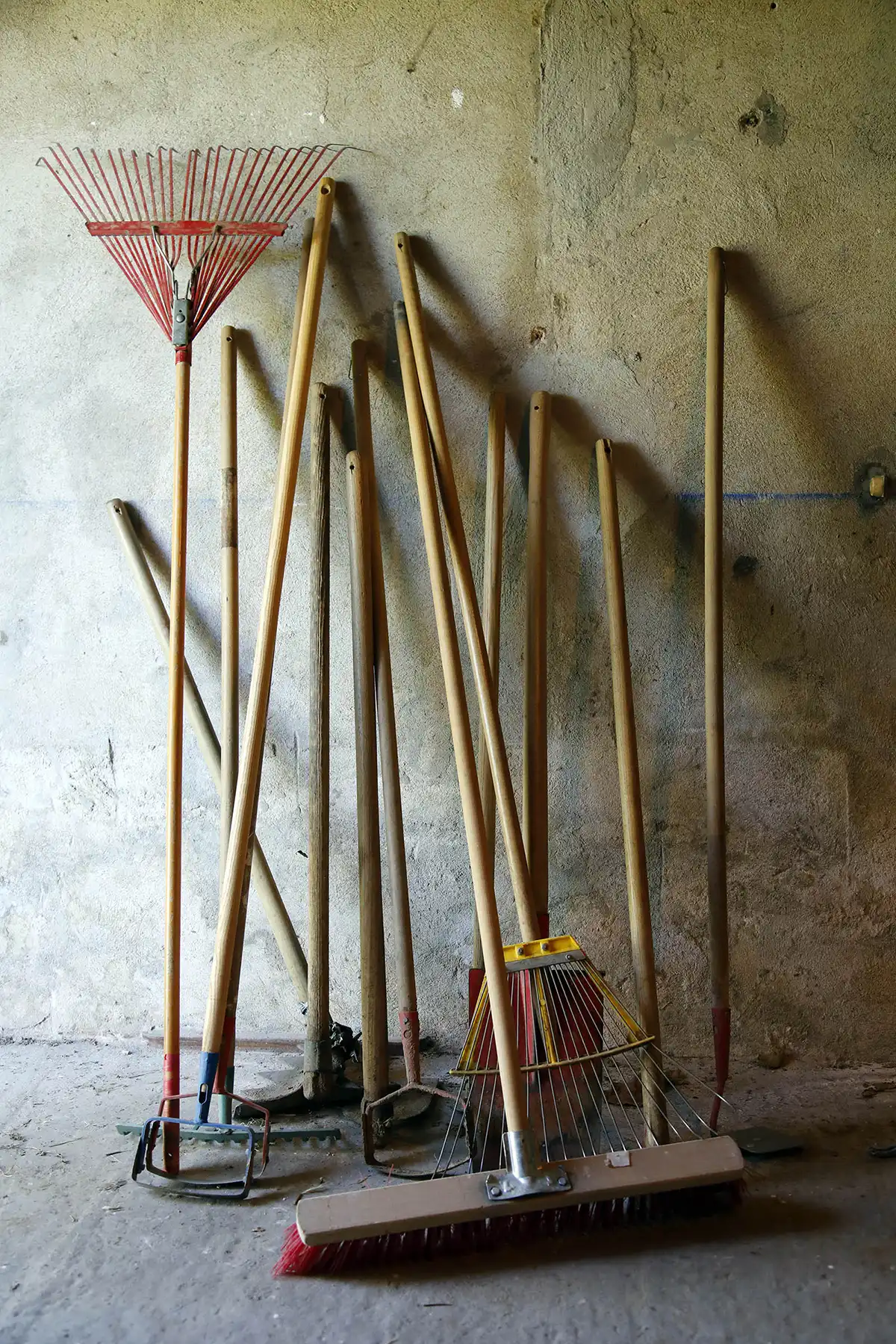 Several garden tools with wooden handles, including rakes, brooms, and hoes, are leaning against a rough, light-colored wall on a concrete floor.