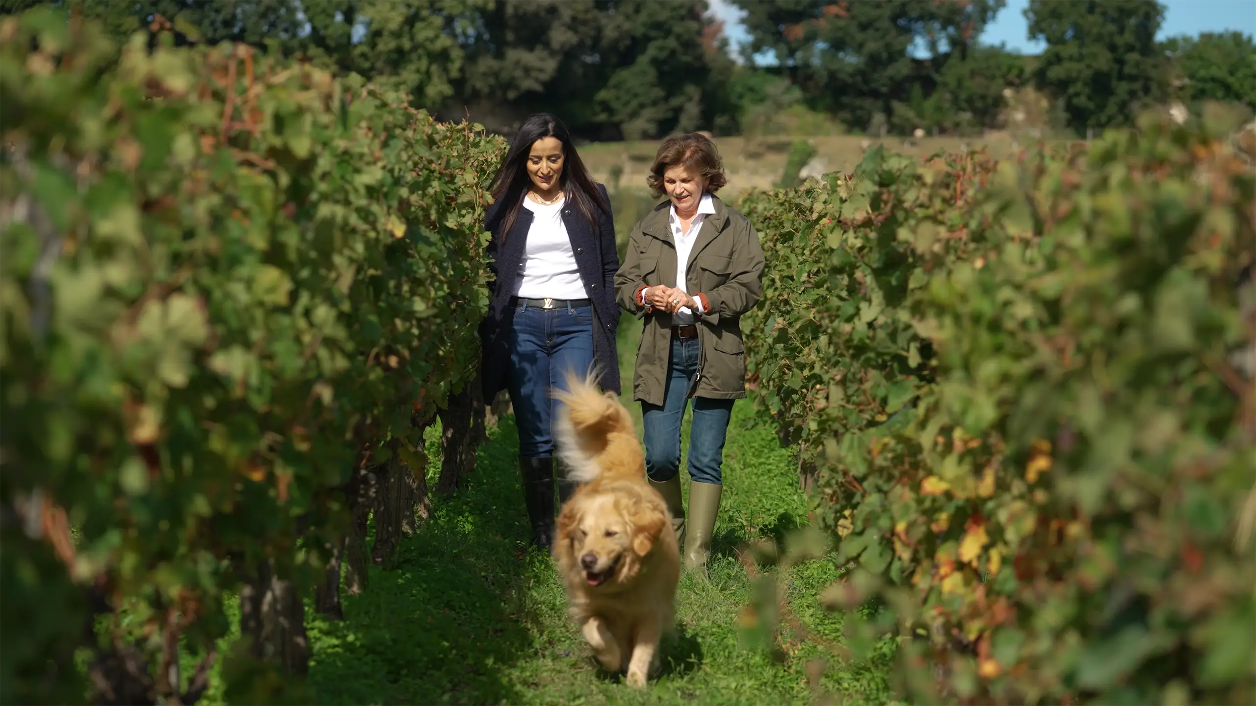 Hakima Dib and Denise Adams walk side by side through a vineyard while a golden retriever runs ahead along a grassy path between grapevines.