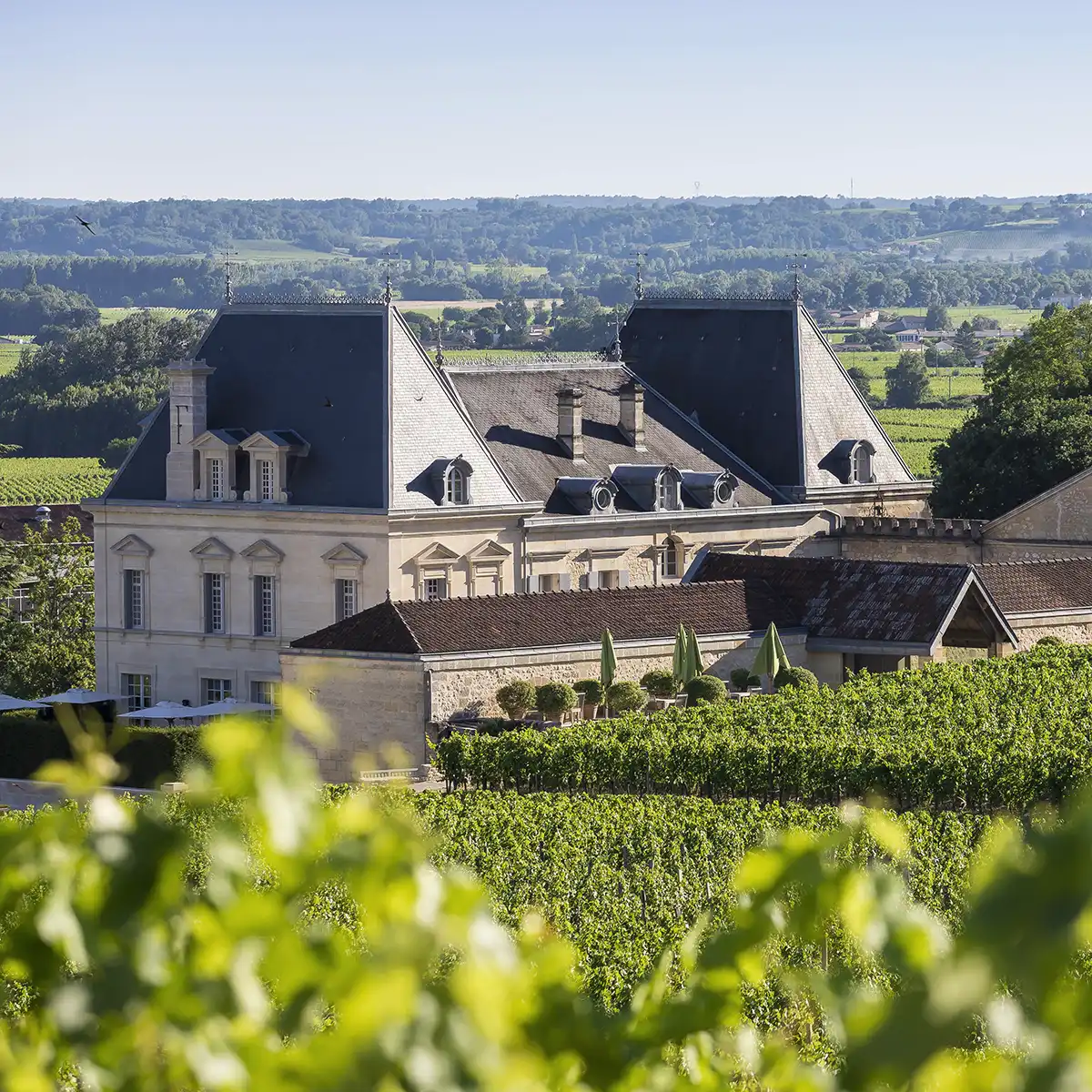 A large, elegant chateau with gray roofs is surrounded by lush green vineyards under a clear blue sky in a rural landscape.