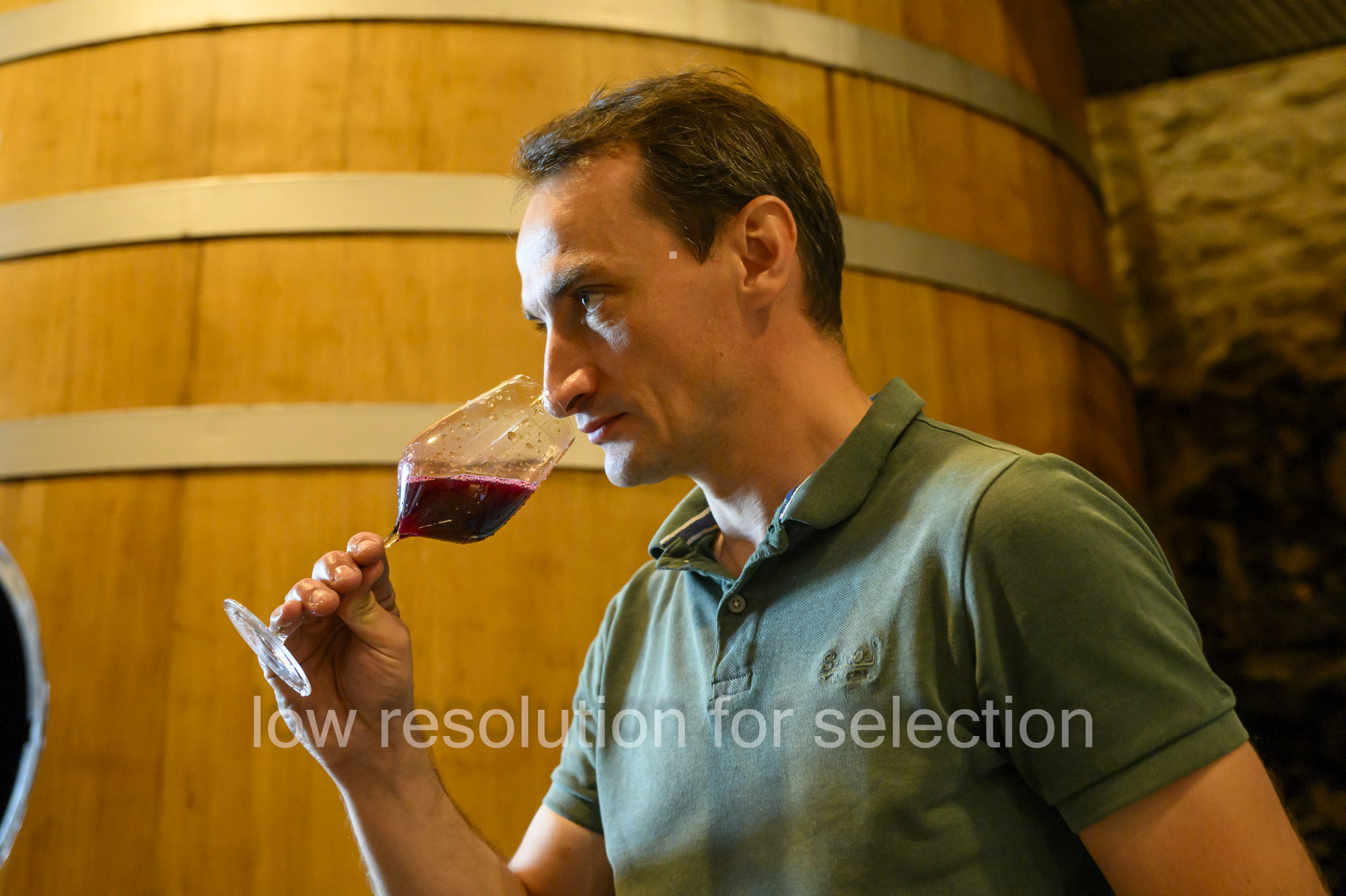 A man in a green polo shirt holds a glass of red wine up to his nose to smell it in front of a large wooden wine barrel.