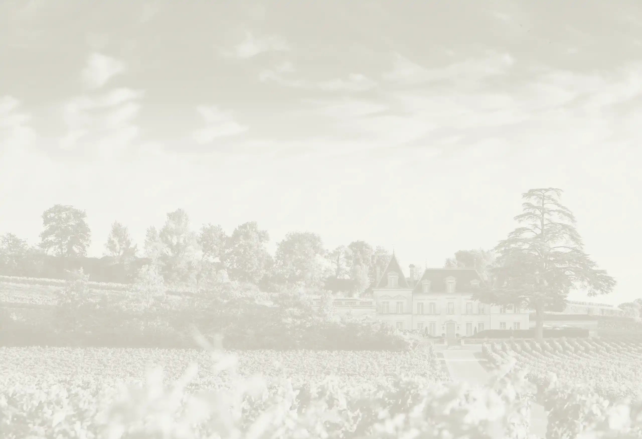 A large estate building surrounded by rows of grapevines and trees.